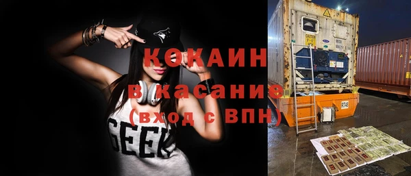 стафф Няндома