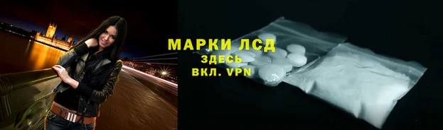 гашик Новодвинск
